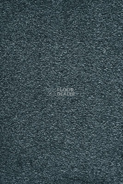 Ковролин AW Masquerade Moana 74 фото 1 | FLOORDEALER